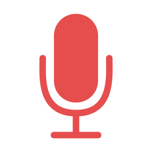Voice Control Blinds